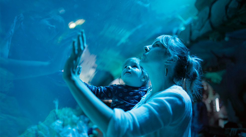 A mother holds her daughter on her hip, both pressing their hands to the glass of fish tanks at an aquarium